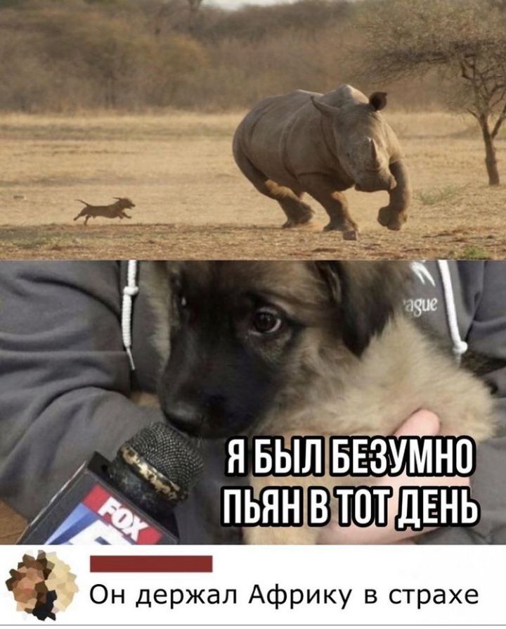 за ЯБ_ЬЛ_БЕ8УМН0 ПЬЯШВТОТ ДЕНЬ _ Он держал Африку в страхе