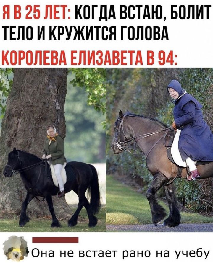 Я В 25 ЛЕТ КОГДА ВОТАЮ БОЛИТ ТЕЛО И КРУЖИТОЯ ГОЛОВА ОРОЛЕВА ЕЛИАВЕТА В 94 Ч А е _ аОна не встает рано на учебу