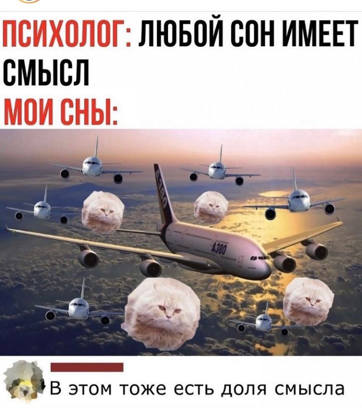 лювой сон имнвт СМЫСЛ В этом тоже есть доля смысла