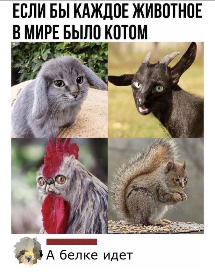 ЕСЛИ БЫ КАЖДОЕ ЖИВОТНОЕ М