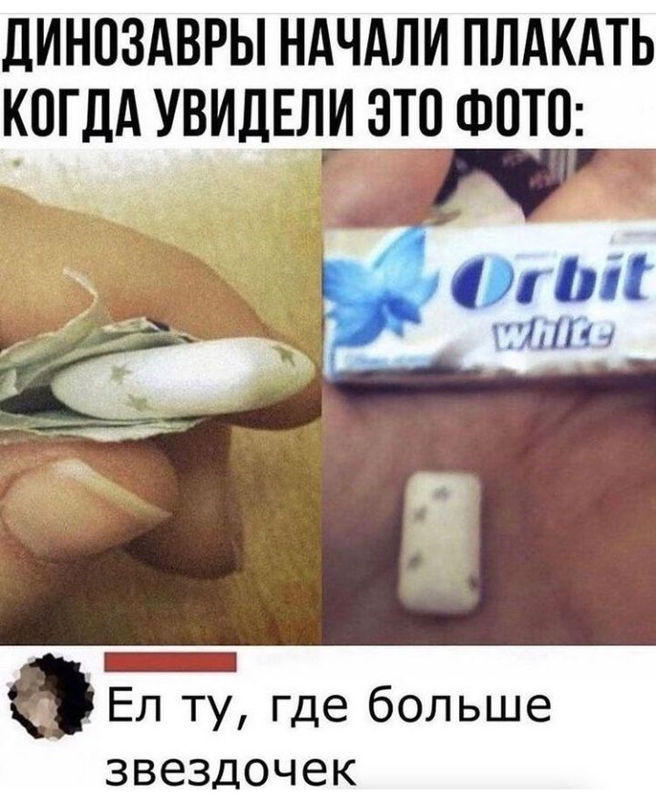 дИНОЗАВРЫ НАЧАЛИ ПЛАКАТЬ КОГДА УВИДЕЛД ЭТО ФОТО Ел ту где больше ЗВЕЗДОЧЕК