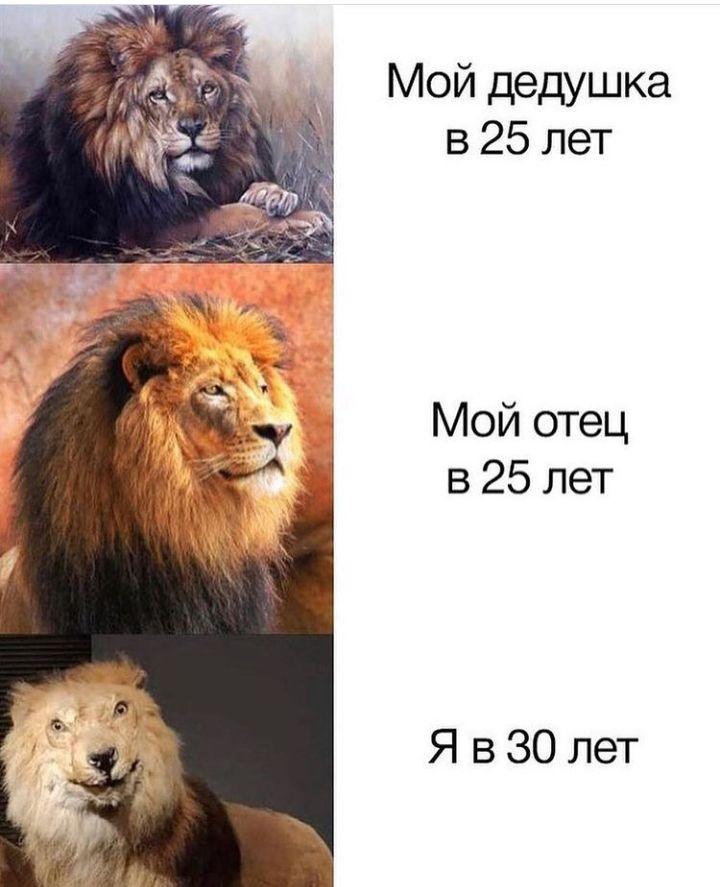 Мой дедушка в 25 лет Мой отец в 25 лет Я в 30 лет