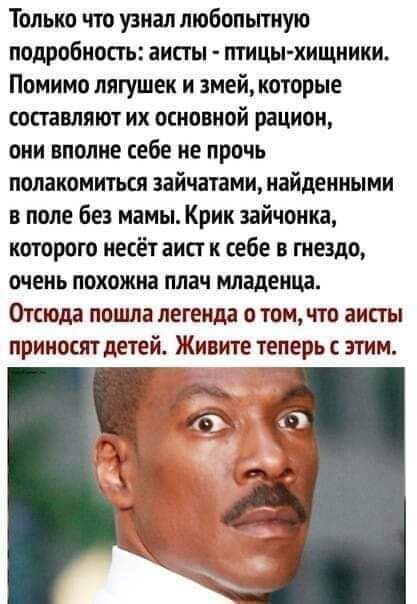 Только что узнал любопытную подробность аисты птицы хищники Помимо лягушек и змей которые составляют их основной рацион они вполне себе не прочь полакомиться зайчатами найденными в поле без мамы Крик зайчонка которою несёт аист к себе в гнездо очень похожна плач младенца Отсюда пошла легенда о том что аисты приносят детей Живите теперь с этим