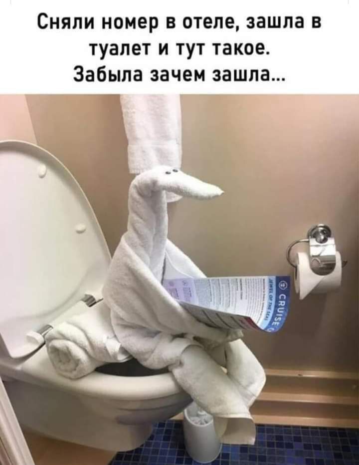 Почему вы забыли мой мир. Сидя на унитазе. Фигуры из полотенец. Утка туалет.