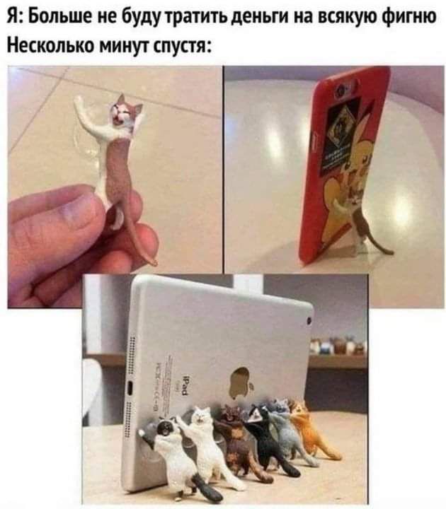 Я Больше не буду тратить деньги на всякую фигню Несколько минут спустя