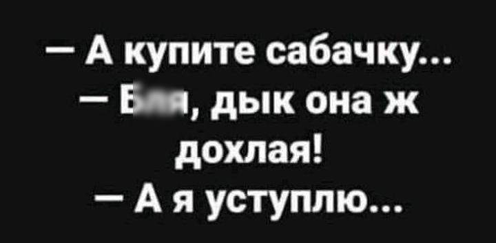 А купите сабачку Бия дык она ж дохлая А я уступлю