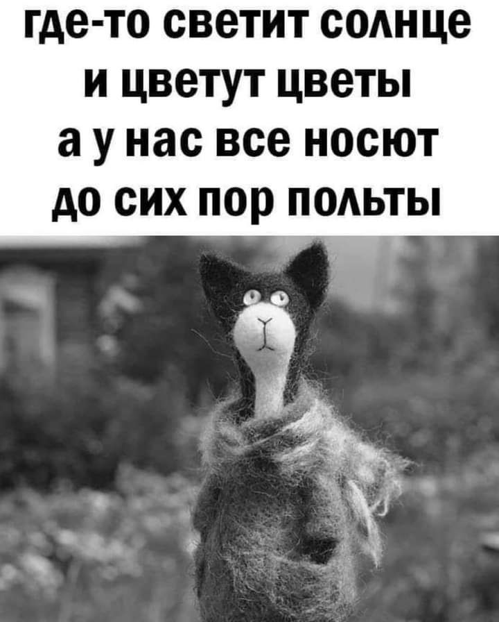 где то светит СОАН це И ЦВЭТУТ ЦВЕТЫ а У нас все НОСЮТ до СИХ пор ПОАЬТЫ