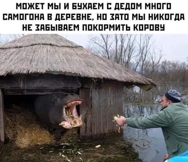 МПЖЕТ МЫ И БНХПЕМ дЕдПМ МНПГП СПМПГПНП В дЕРЕВНЕ НП ЗПТП МЫ НИКПГдд НЕ ЗПБЫВПЕМ ППКПРМИТЬ КПРПВН