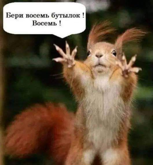 Порн РМЬ бугьшпк Восемь