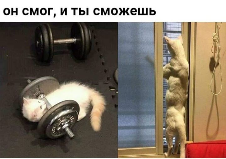 ОН СМОГ И ТЫ сможешь