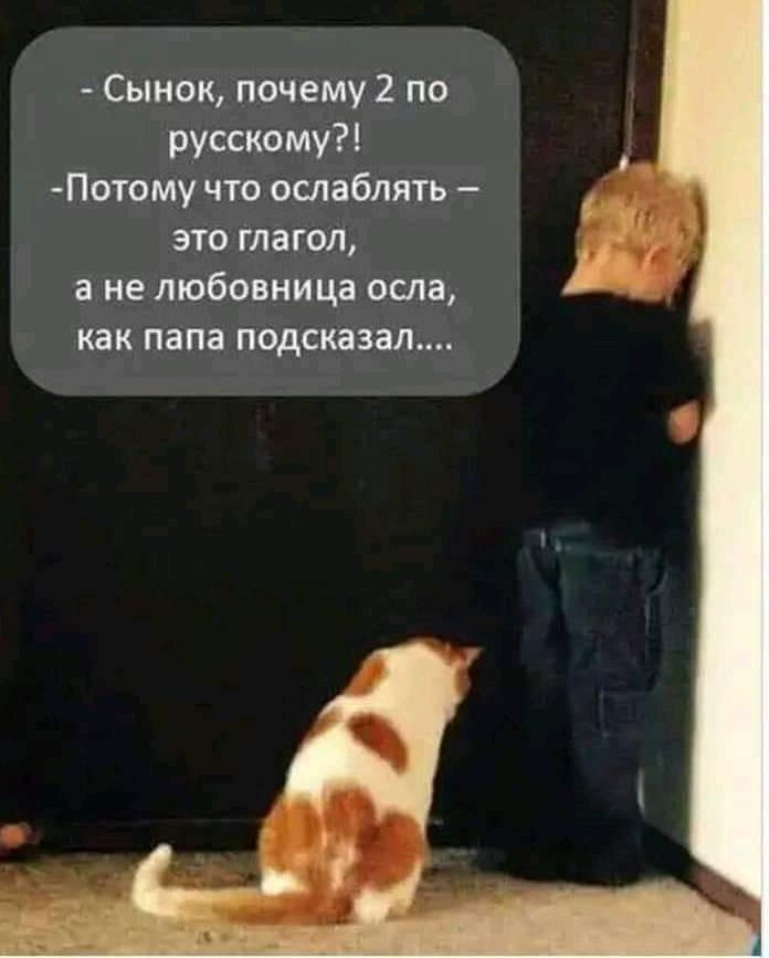 Сынок почему 2 по русскому Потому что ослаблять это глагол а не любовница осла как папа подсказал
