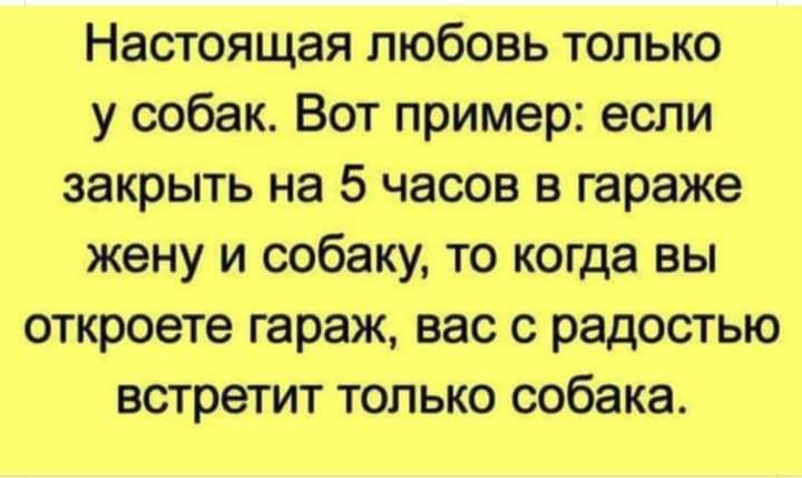 Настоящая любовь только у собак Вот пример если закрыть на 5 часов в гараже жену и собаку то когда вы откроете гараж вас с радостью встретит только собака