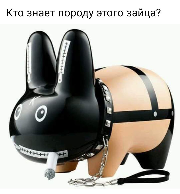Кто знает породу этого зайца