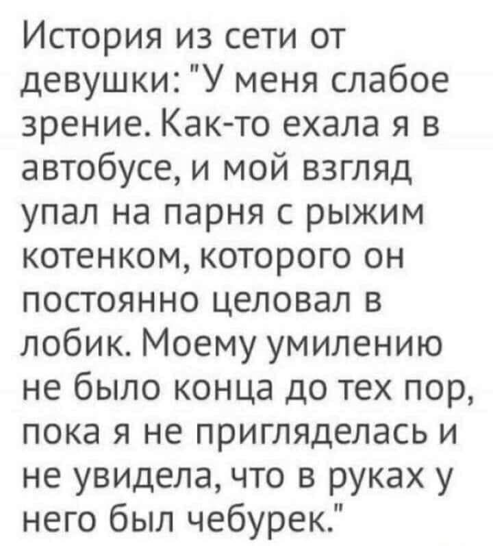 История из сети от девушки У меня слабое зрение Както ехала я в автобусе и мой взгляд упал на парня с рыжим котенком которого он постоянно целовал в лобик Моему умилению не было конца до тех пор пока я не пригляделась и не увидела что в руках у него был чебурек