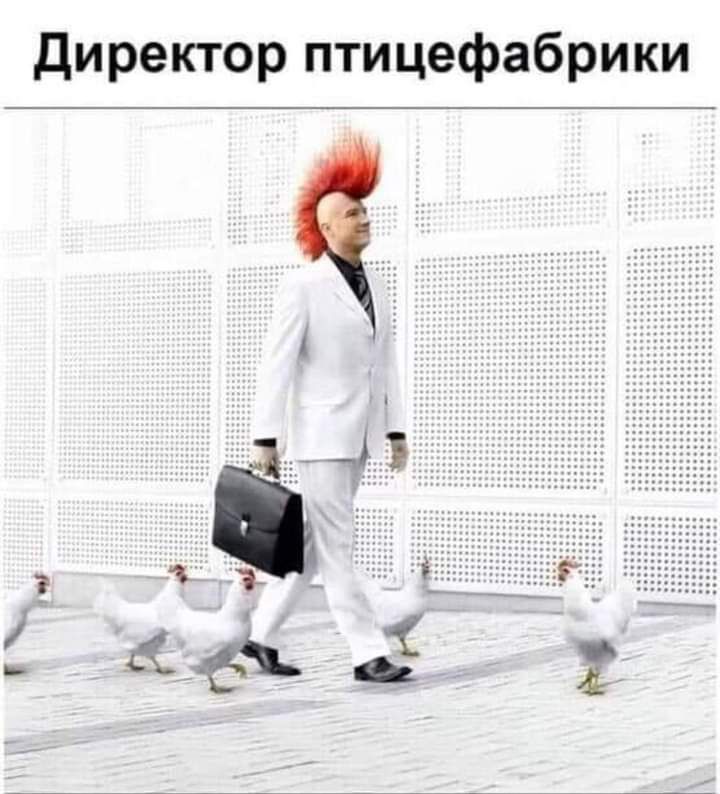 директор птицефабрики
