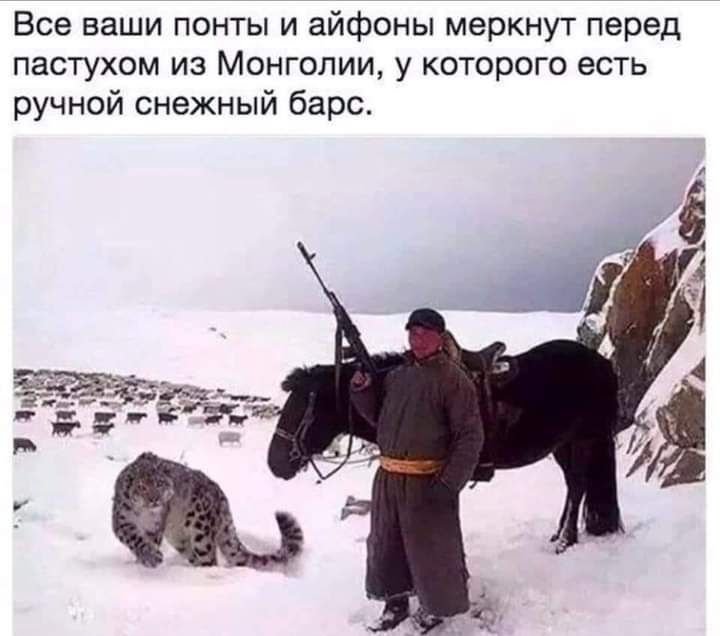 Все ваши понты и айфоны меркнут перед пастухом из Монголии у которого есть ручной снежный барс 1