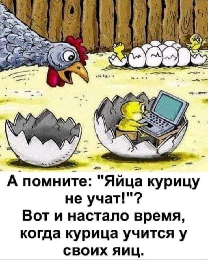 А помните Яйца курицу не учат Вот и настало время когда курица учится у своих яиц