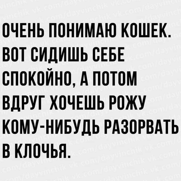 ОЧЕНЬ ПОНИМАЮ КОШЕК ВОТ ВИДИШЬ СЕБЕ ВППКОЙНП А ПОТОМ ВДРУГ ХОЧЕШЬ РОЖУ КОМУ НИБУДЬ РАЗПРВАТЬ В КЛОЧЬЯ