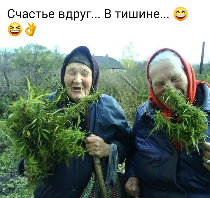 Счастье вдруг В тишине