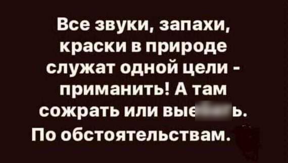 Все звуки запахи краски в природе служат одной цели приманить А там сожрать или выво ь По ОБСТОЯТЕЛЬСТВЗМ