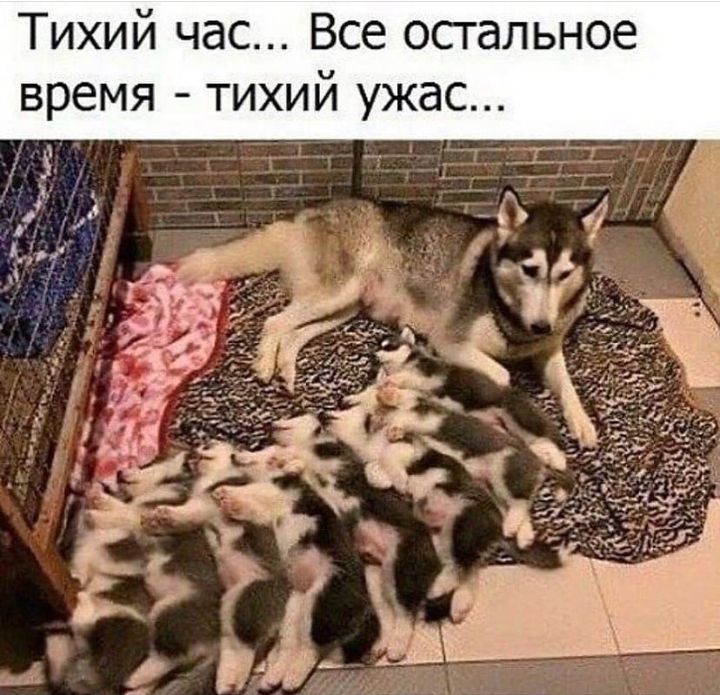 Тихи Все остальное И ЧдС 8 Ж У И И Х И Т _ время