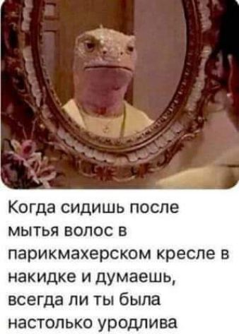 КОГДЭ СИДИШЬ ПОСЛЕ МЫТЬЯ ВОЛОС В парикмахерском кресле В накидке И Думаешь всегда ПИ ТЫ была настолько уродлива