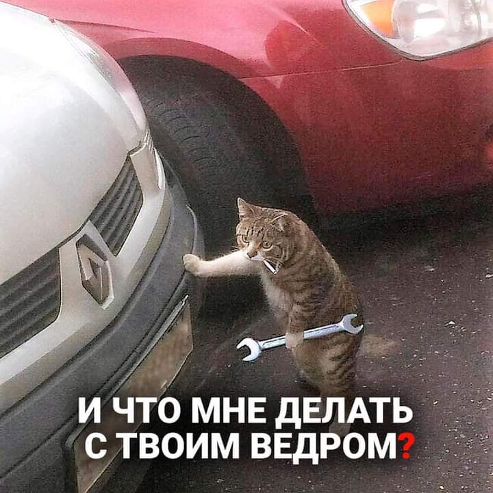 и что МНЕ дЕЛАТЬ С ТВОИМ ВЕДРОМ