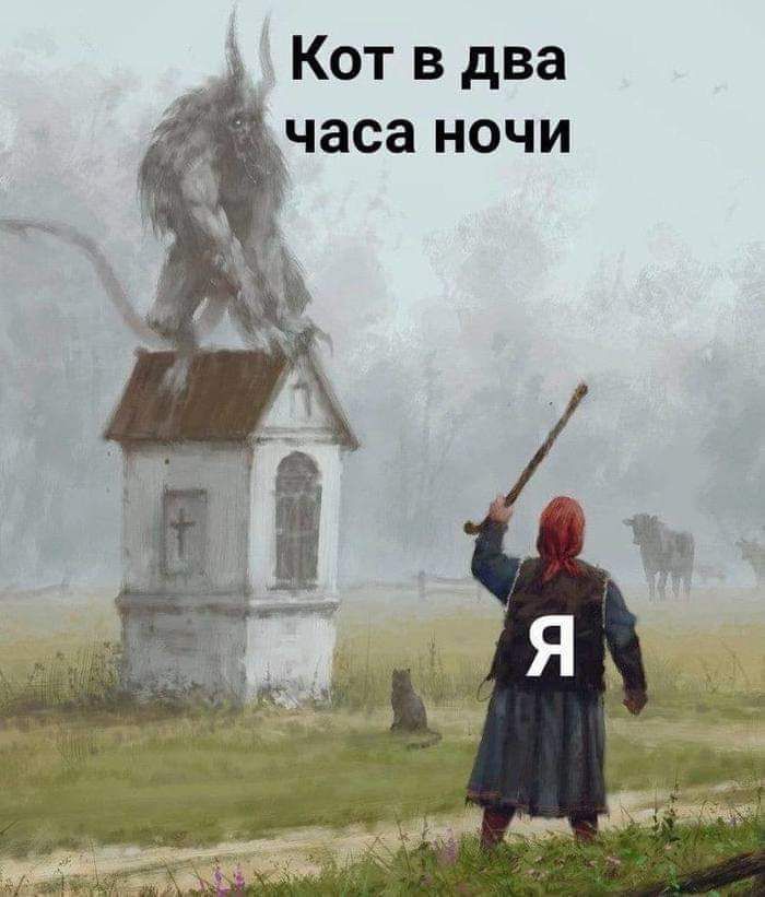 Кот в два