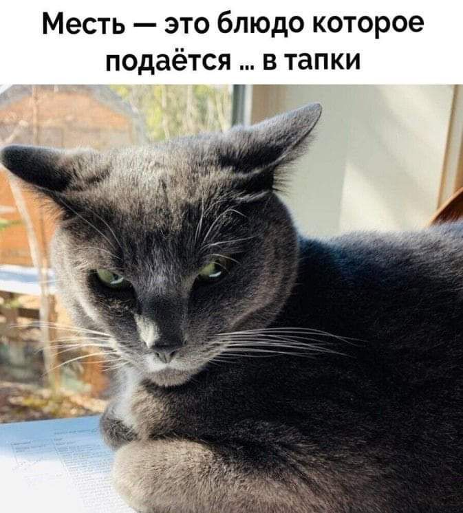 Месть это блюдо которое подаётся в тапки