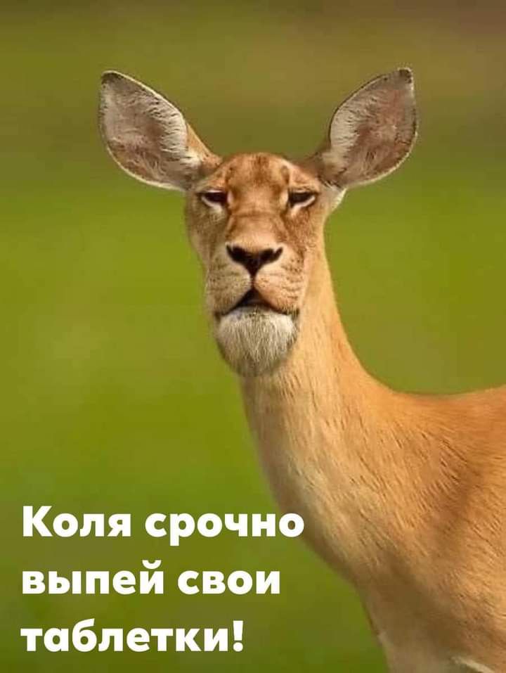 Коля срочно выпей свои таблетки