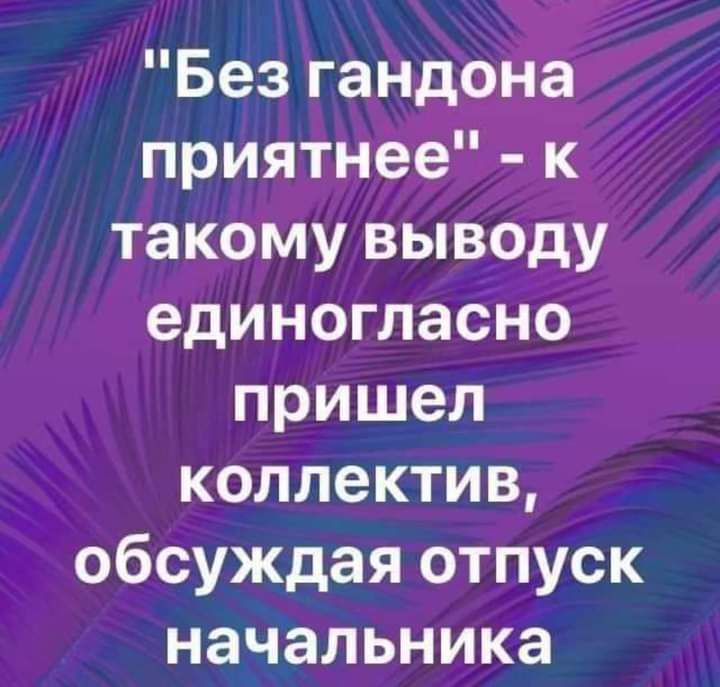 Без гандона приятнее к такому выводу единогласно пришел коллектив обсуждая отпуск начальника