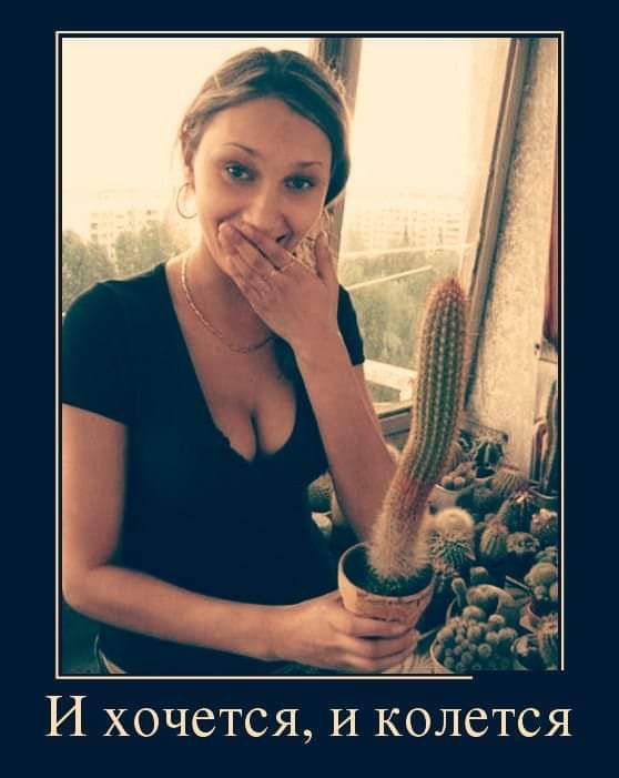 И хочется И колется