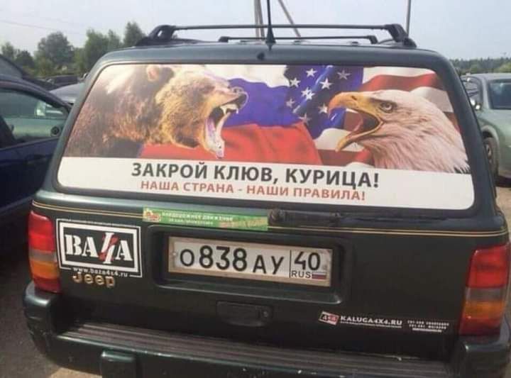 здкрой клюв КУРИЦА и п тши нгдвилд