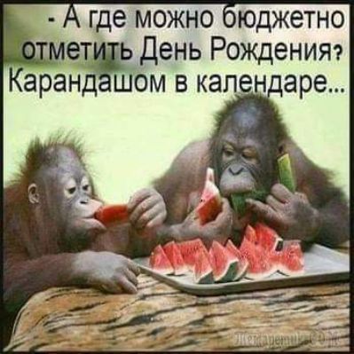 где можно оюджетно ет День Рожденият аран ом в кале