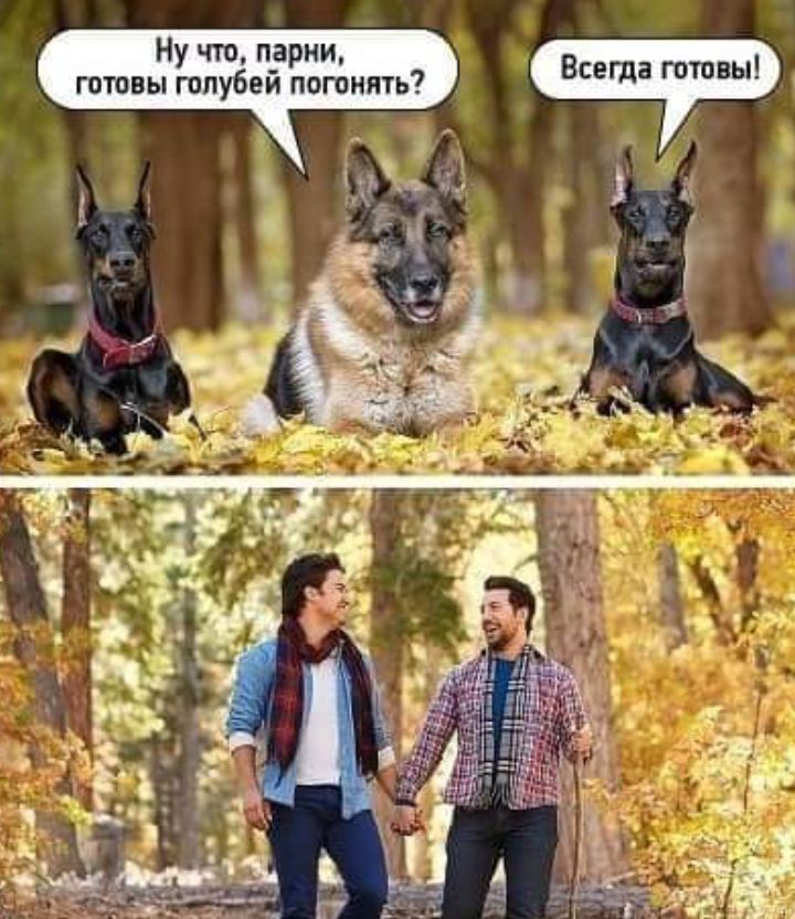 Ну что парни готовы гопубеи погонять