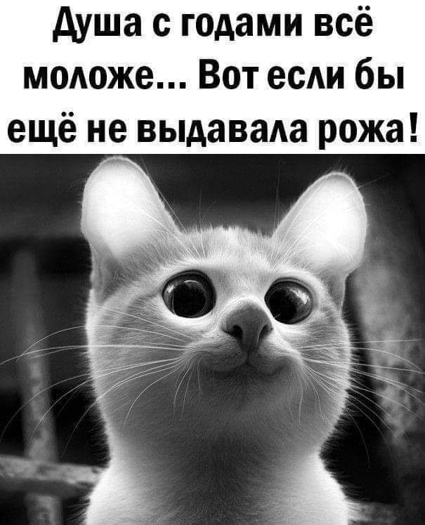 душа с годами всё модоже Вот есАи бы ещё не выдавама рожа