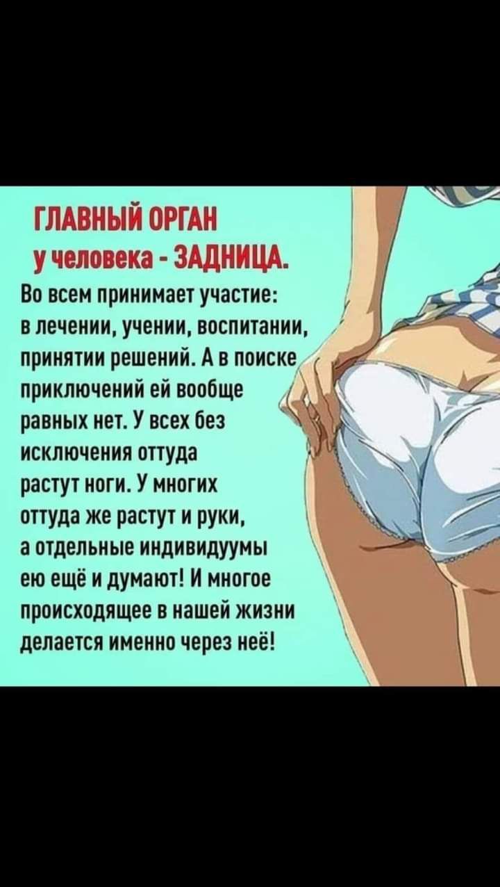 ГЛАВНЫЙ ОРГАН у человека ЗАДНИЦА Во всем принимает участие в лечении учении воспитании принятии решений А в поиске приключений ей вообще равных нет У всех без исключения оттуда растут ноги У многих оттуда же растут и руки а отдельные индивидуумы ею ещё и думают И многое происходящее в нашей жизни делается именно через неё