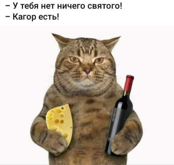 У тебя нет ничего святого Кагор есть