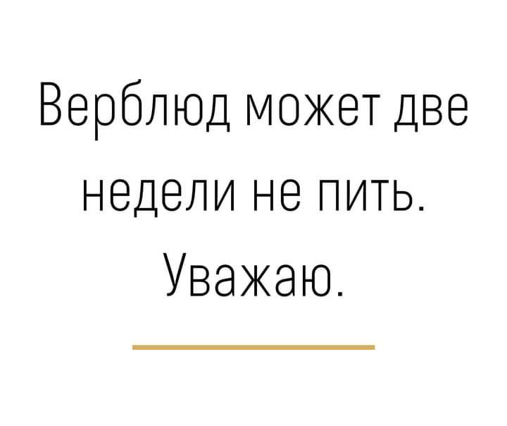 Верблюд может две недели не пить Уважаю