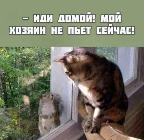 Ппмтгіпщ Пгтші 113 ЖЖ ИНП