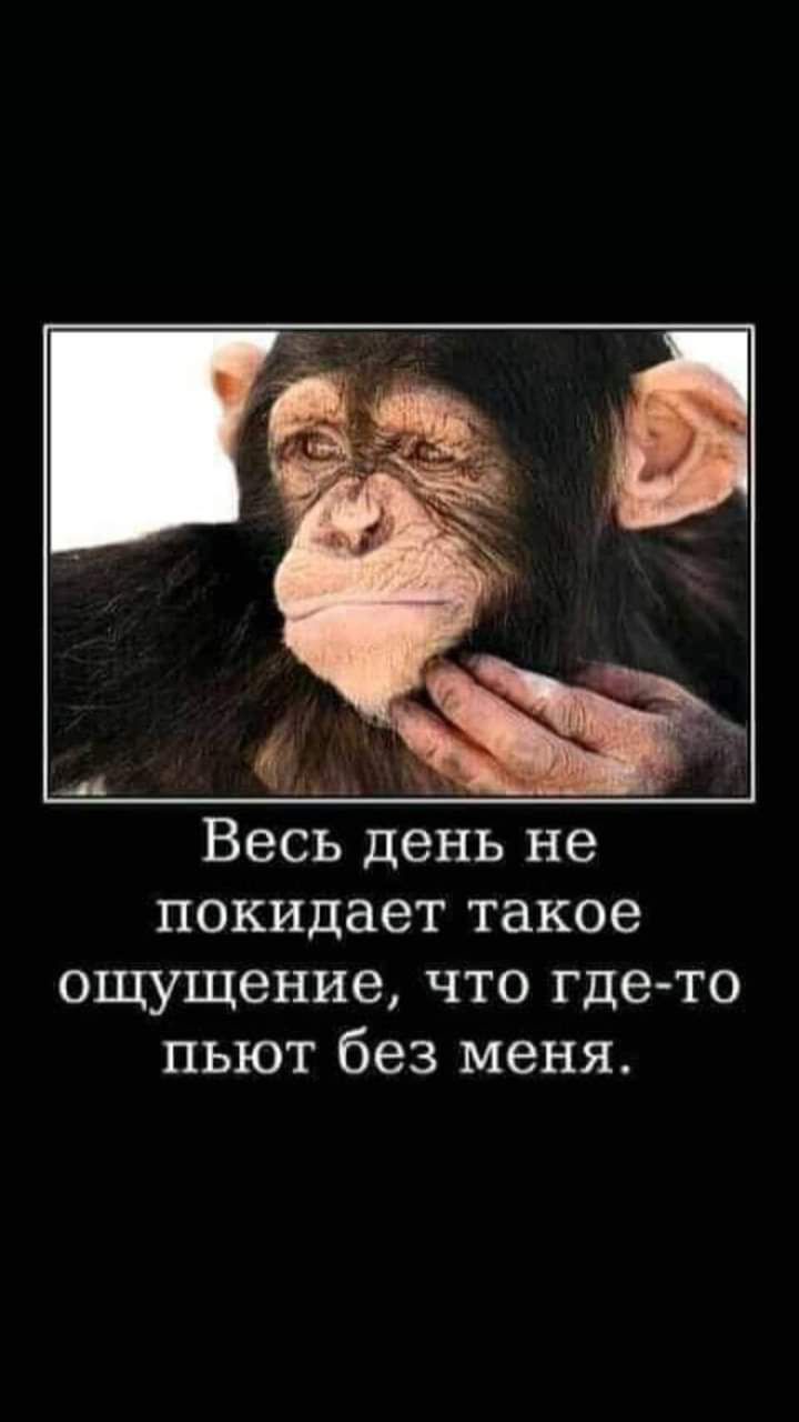 Весь день не покидает такое ощущение что где то пьют без меня