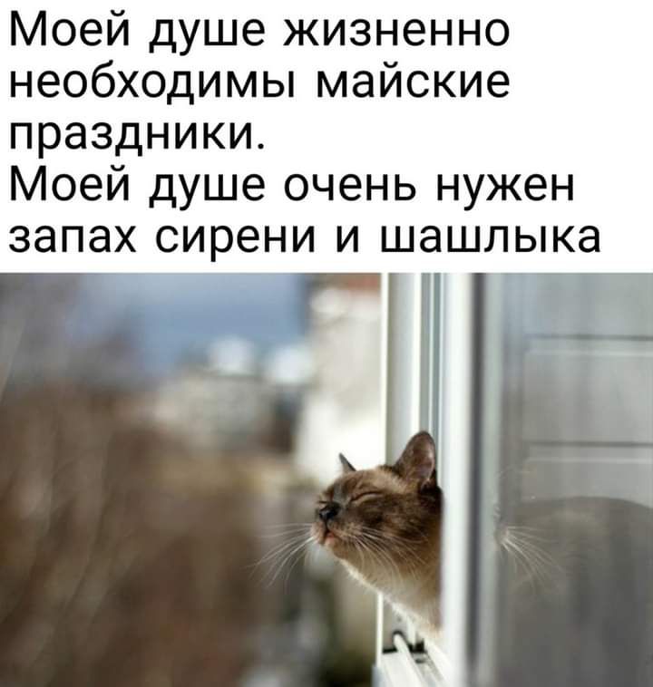 Моей душе жизненно необходимы майские праздники Моей душе очень нужен запах сирени и шашлыка