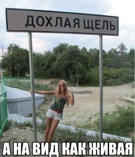 д НВИП ШШШ