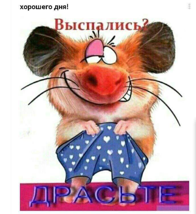 хорошего дня Рыспчлнсь Т