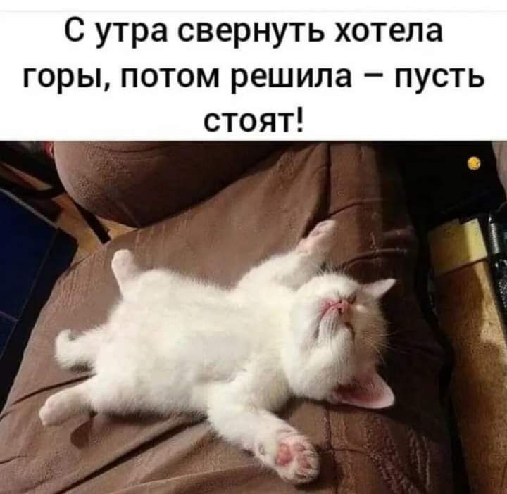 С утра свернуть хотела горы потом решила пусть стоят