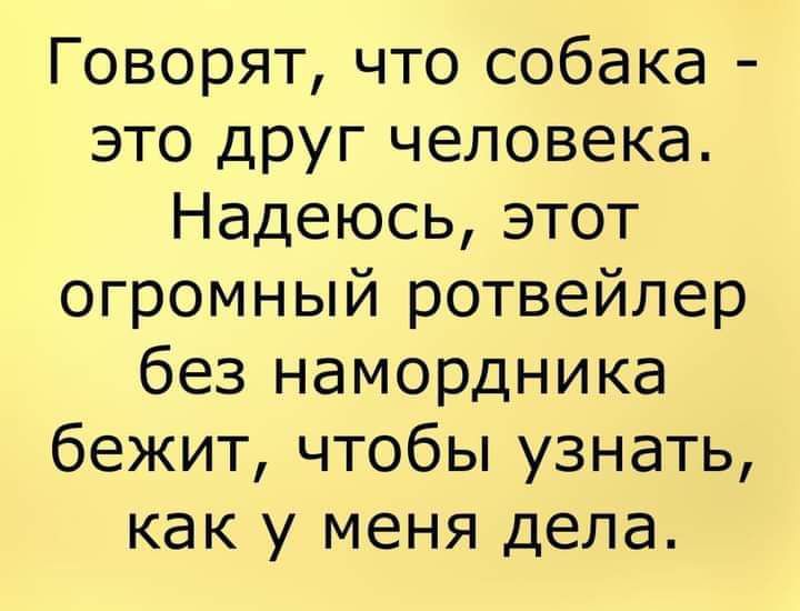 Говорят что собака это друг человека Надеюсь этот огромный ротвейлер без намордника бежит чтобы узнать как у меня дела