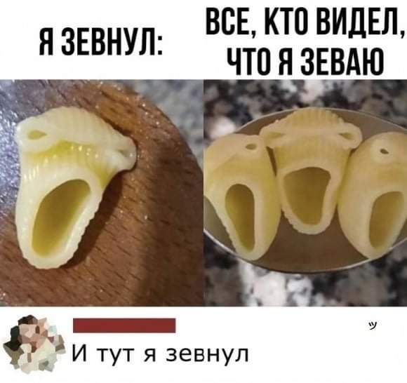 ВСЕ КТП ВИДЕЛ ЧТО Я ЗЕВАЮ Я ЗЕВНУЛ _ _ И тут я зевнул