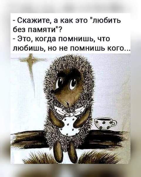 Скажите а как это любить без памяти Это когда помнишь что любишь но не помнишь кого