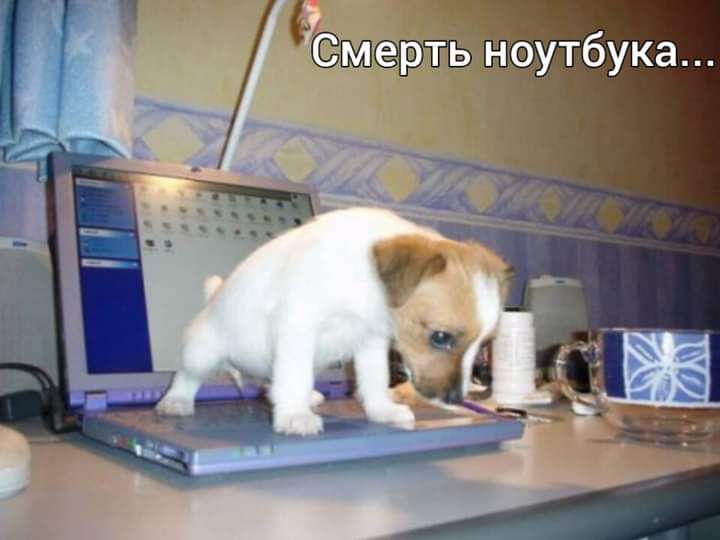 Смерть ноутбука