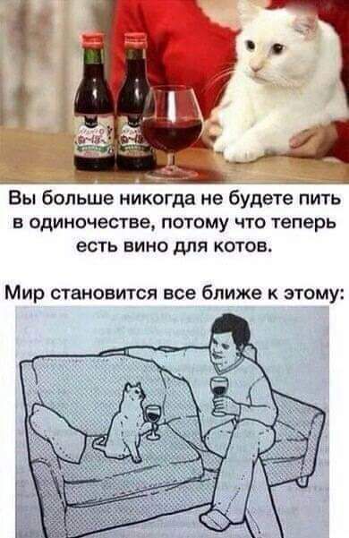 Вы больше никогда не будете пить В одиночестве ПОТОМУ ЧТО теперь ЕСТЬ ВИНО дЛЯ КОТОБ Мир становится все ближе к этому